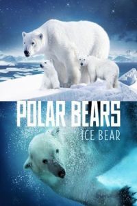 Polar Bears: Ice Bear (2013)