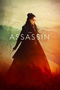 The Assassin (Cìkè Niè Yinniáng) (2015)