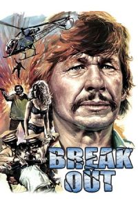 Breakout(1975)