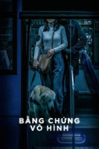 Invisible Evidence (Bang Chung Vo Hinh) (2020)